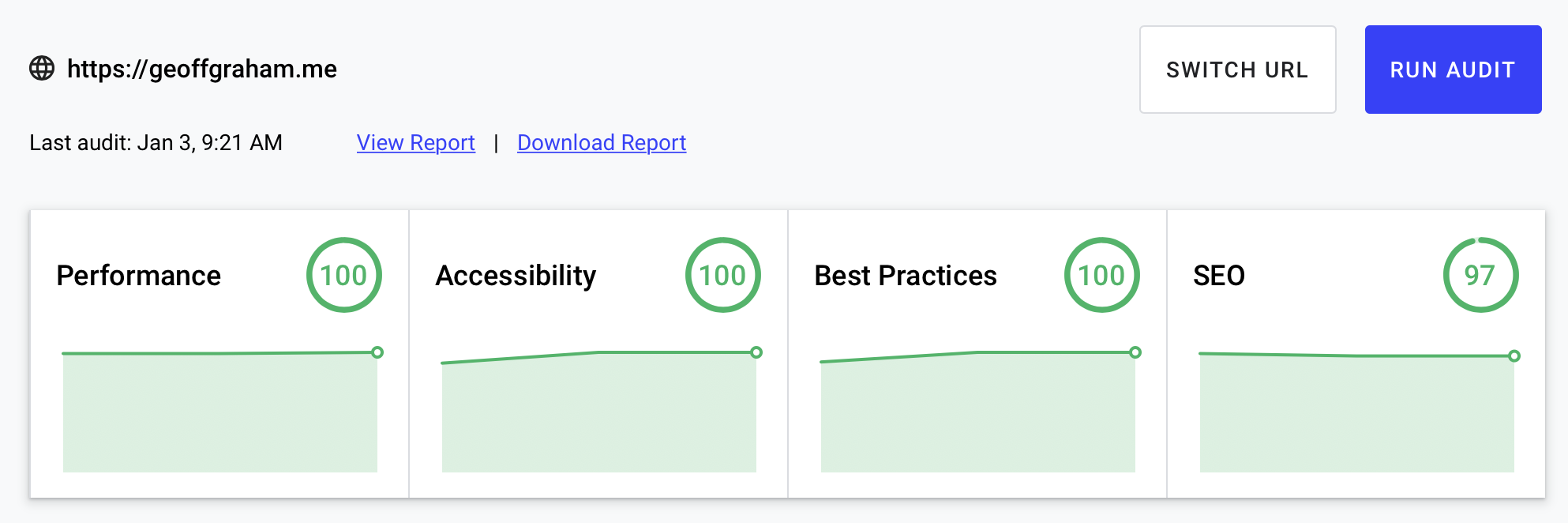 Lighthouse results showing an accessibility score of 100.