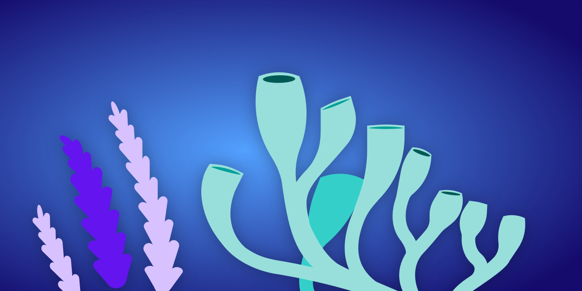 I'm Joining the DigitalOcean Team! Geoff Graham