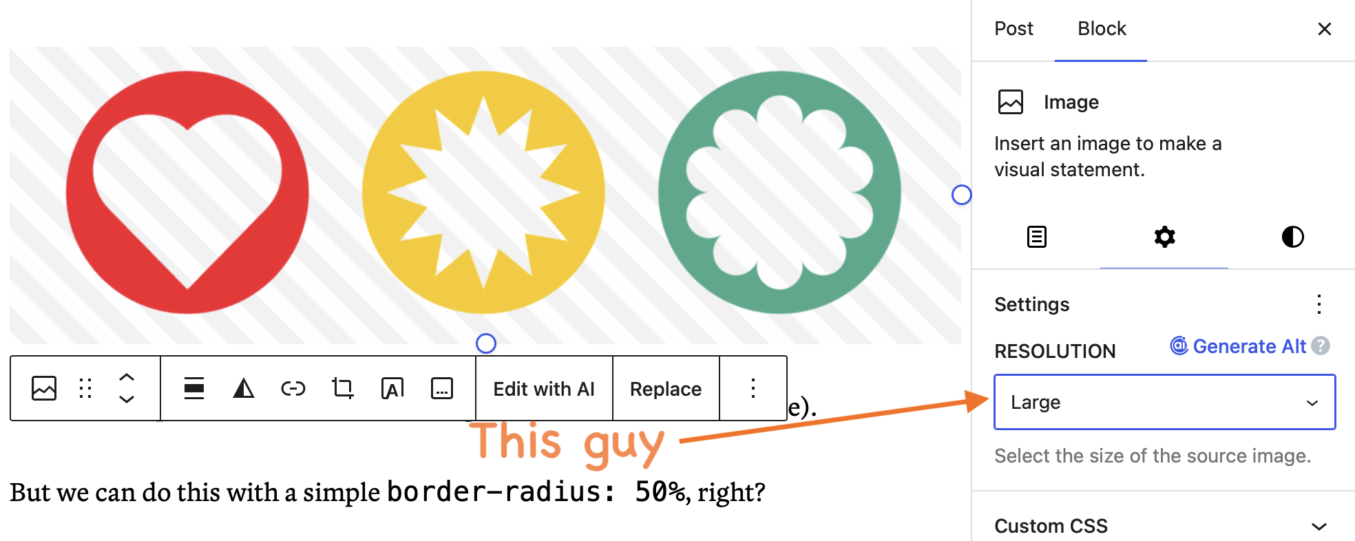 Showing the WP Image block settings for choosing an image size.