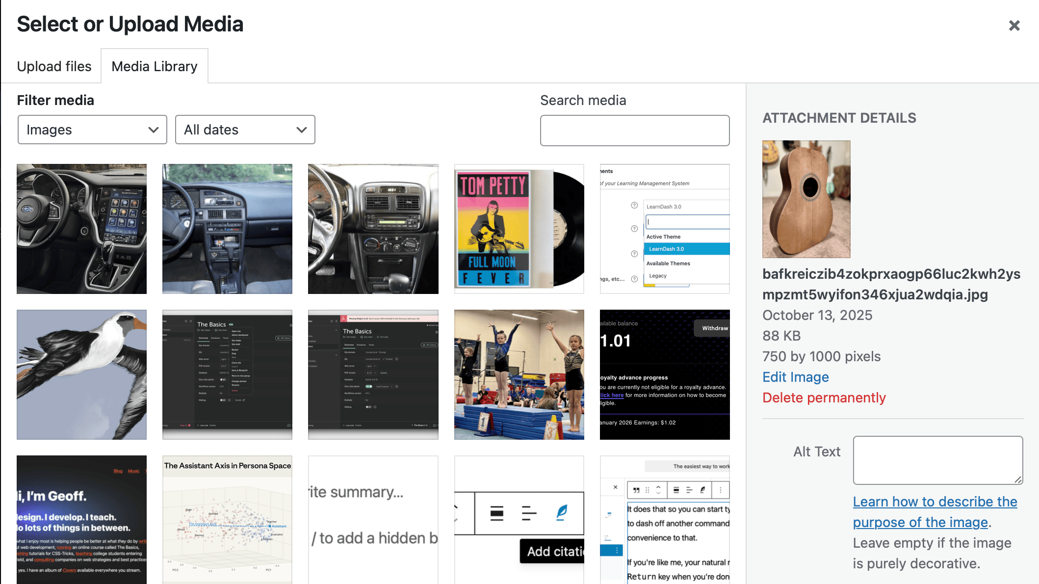 Image selected in the WordPress Media Library opened in the post editor. Showing image information in the right column.